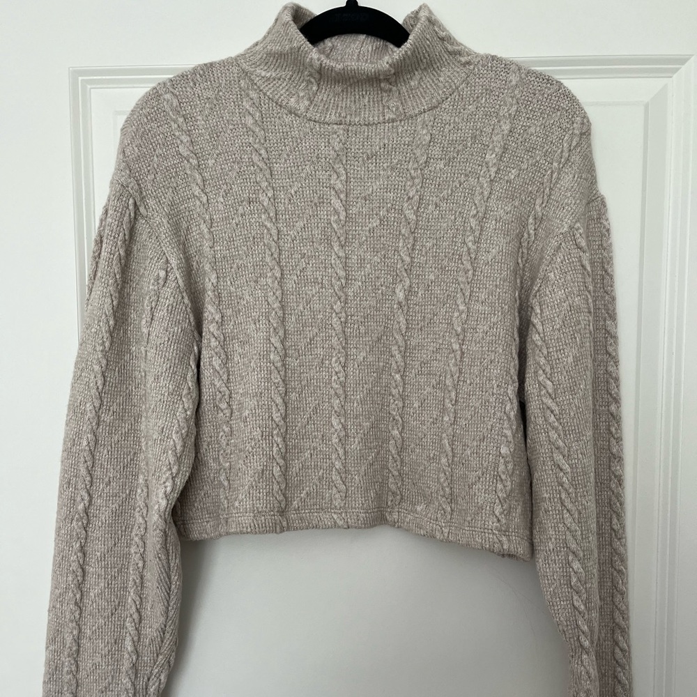 Zara Knit Turtleneck Sweater